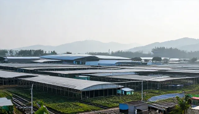 市场分析报告如何应对业务发展趋势,提升品牌策划效果